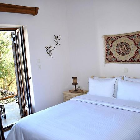 Eufrosini Guesthouse Metsovo Zewnętrze zdjęcie