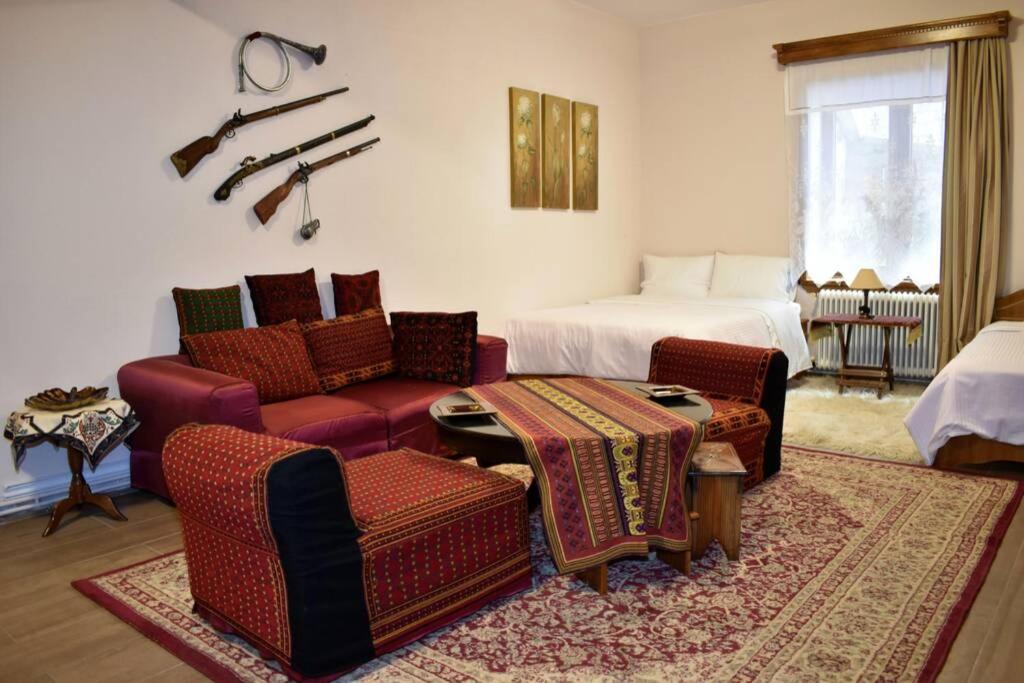 Eufrosini Guesthouse Metsovo Zewnętrze zdjęcie